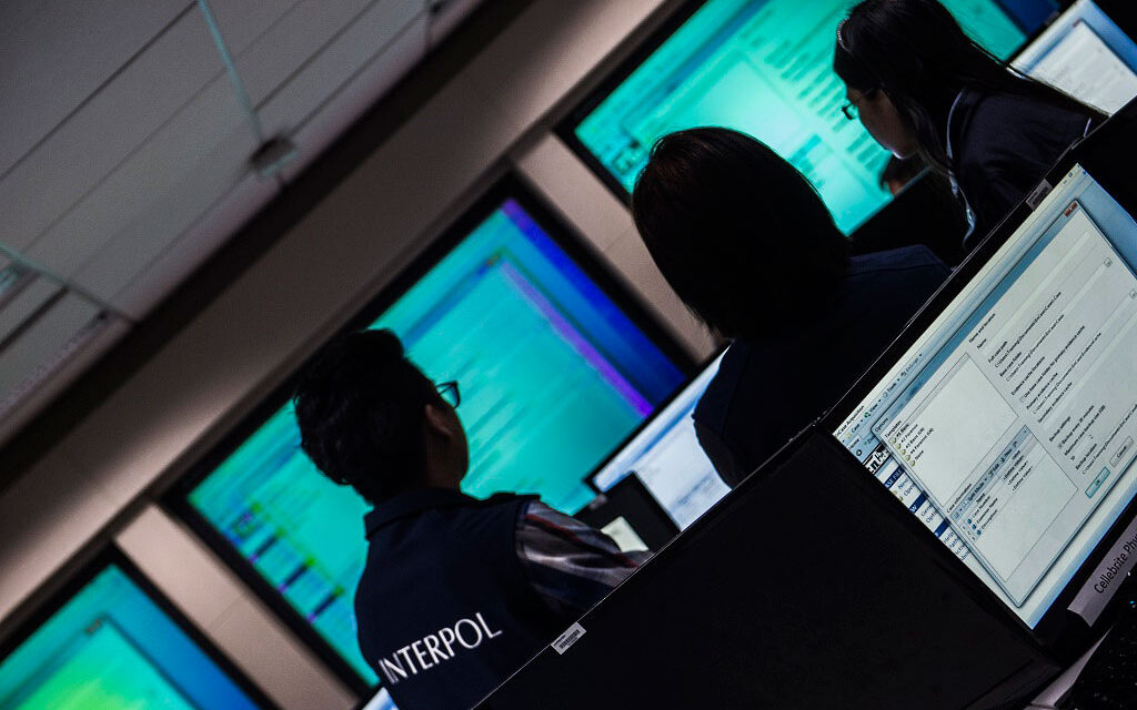 Interpol, sosyal mühendislik dolandırıcılığı yapan 100’lerce kişiyi tutukladı